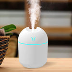 Cargar imagen en el visor de la galería, Mini humidificador USB de 250 ml con luz LED: difusor aromático para el hogar y el coche | HealthNovas

